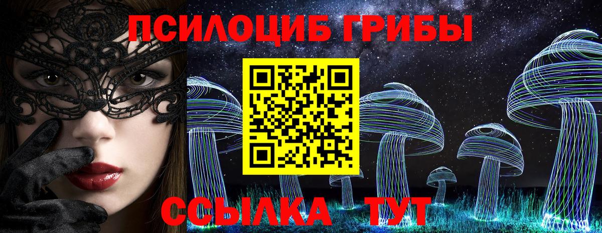 Псилоцибиновые грибы ЛСД Камень-на-Оби
