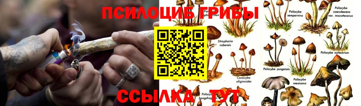 Псилоцибиновые грибы MAGIC MUSHROOMS  Вход с VPN  купить   Камень-на-Оби 